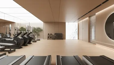 Modern Organic Modern Gym
