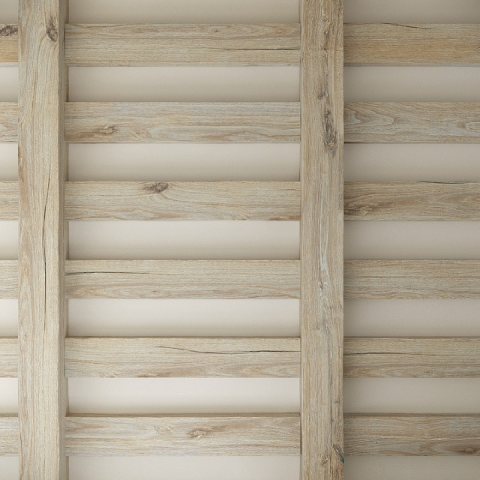 Modern Outdoor Grounds