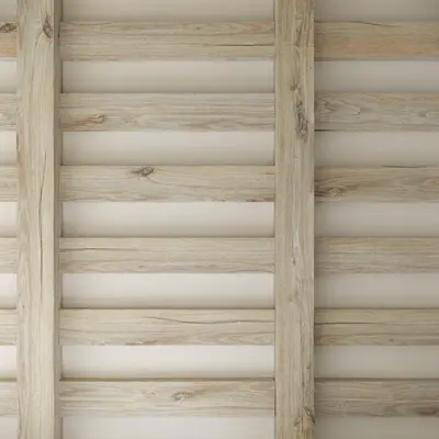 Modern Outdoor Grounds