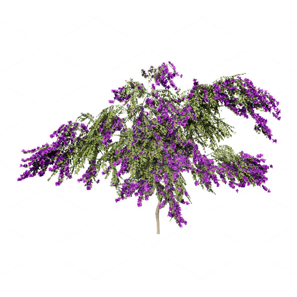 Climbing Plants 3D Models