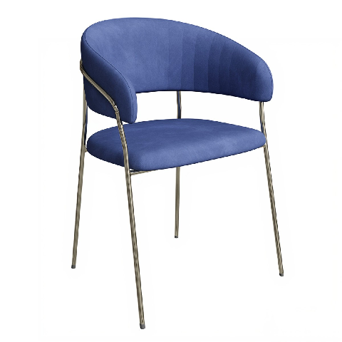 Modern Dining Chair