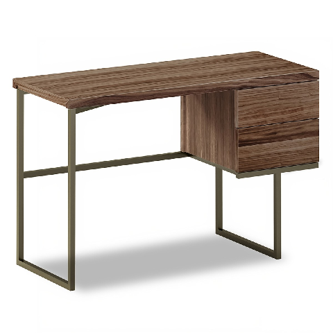 Modern Office Desk