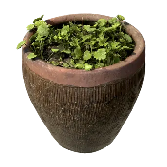 Plant Containers 3d model