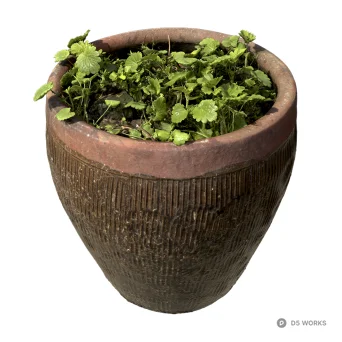 Plant Containers 3d model - Image 1