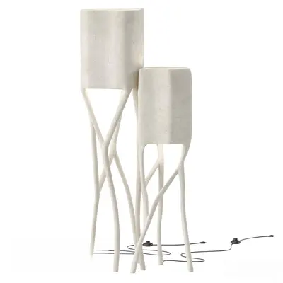 Organic Sculptural Floor Lamp 3d model