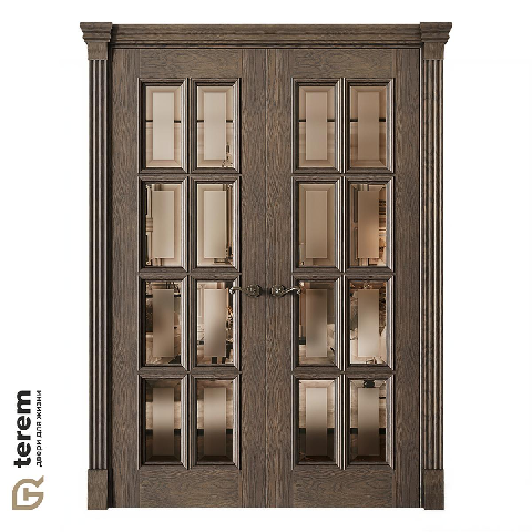 Modern Double Door