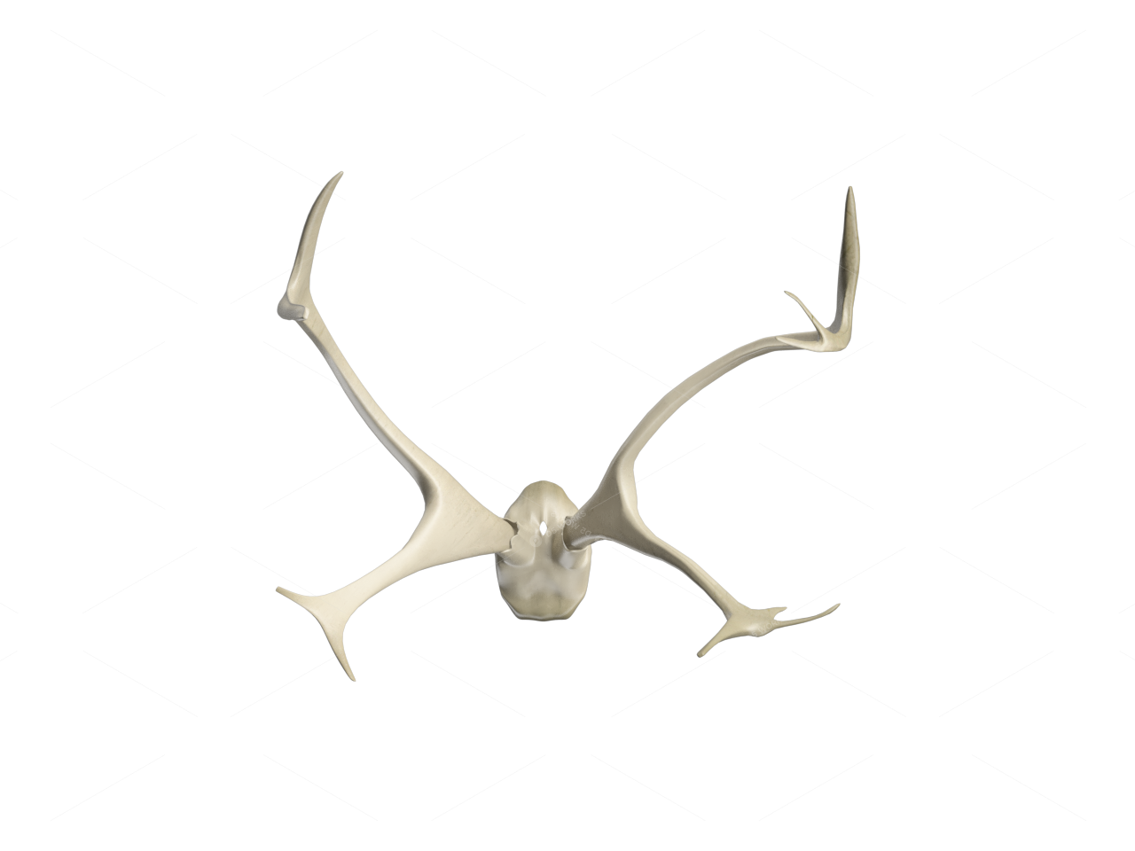 Wall Hangings 3D Models 2