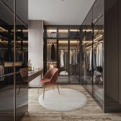 Modern Walk-in Closet