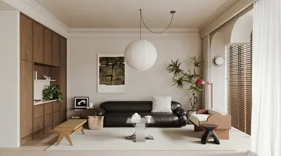 Contemporary Home Living Room