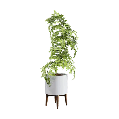 Potted plants 13 3d model