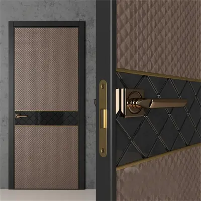 Modern Single Door