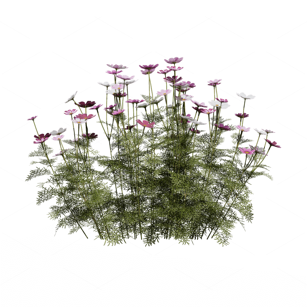 Flowers 3D Models