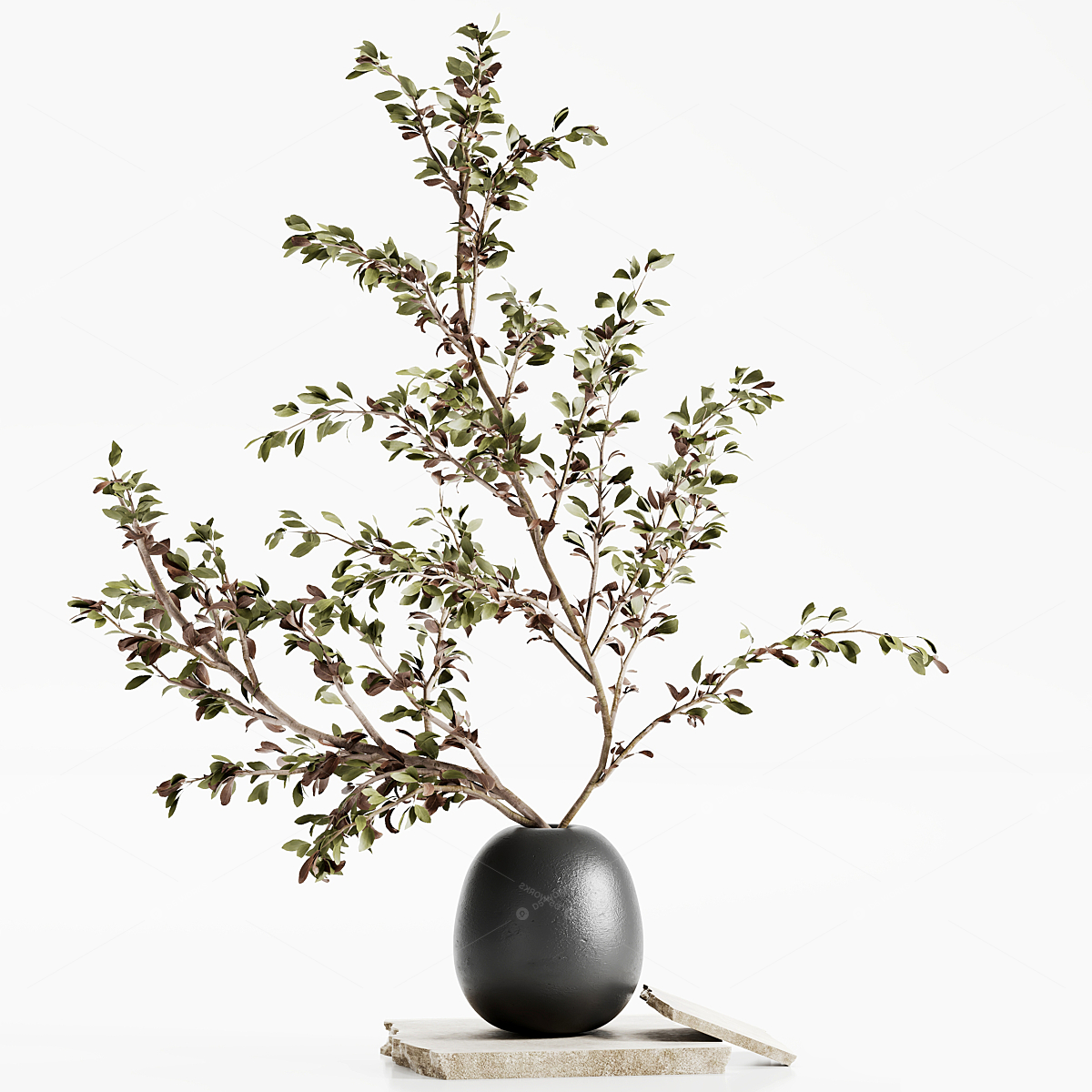 Vases & Floral Arrangements 3D Models