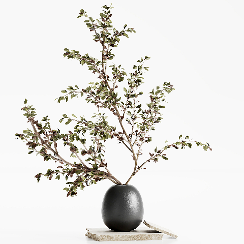 Mid-Century Modern Floral Arrangement