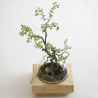 Modern Indoor Aerial View