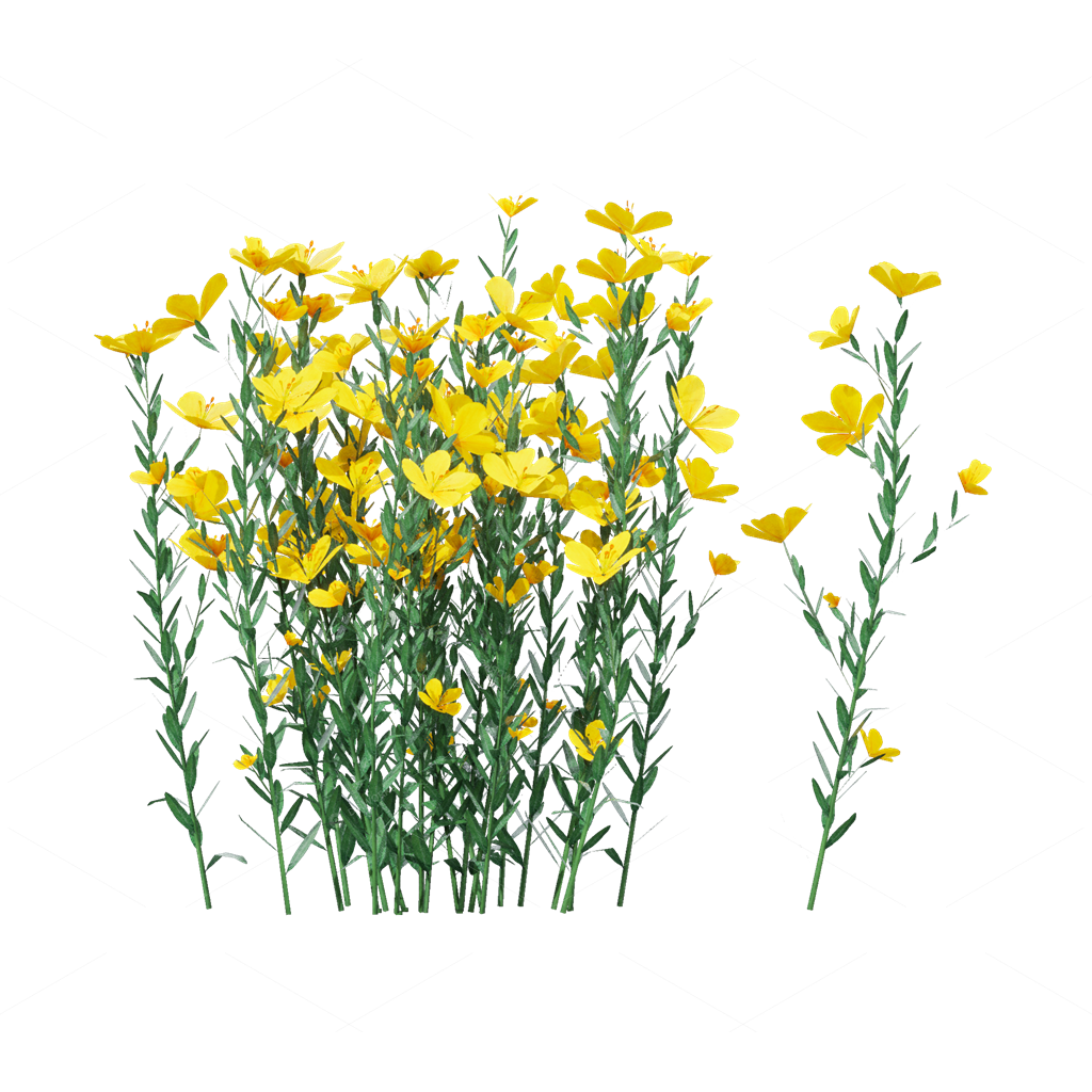 Crops 3D Models