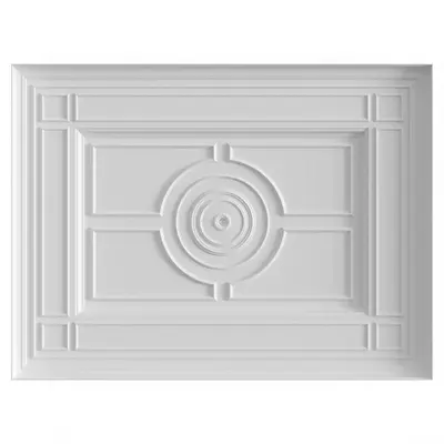 Ornate Ceiling Panel 3d model
