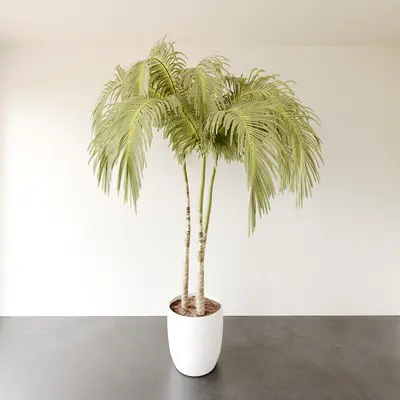 Modern Potted Plant