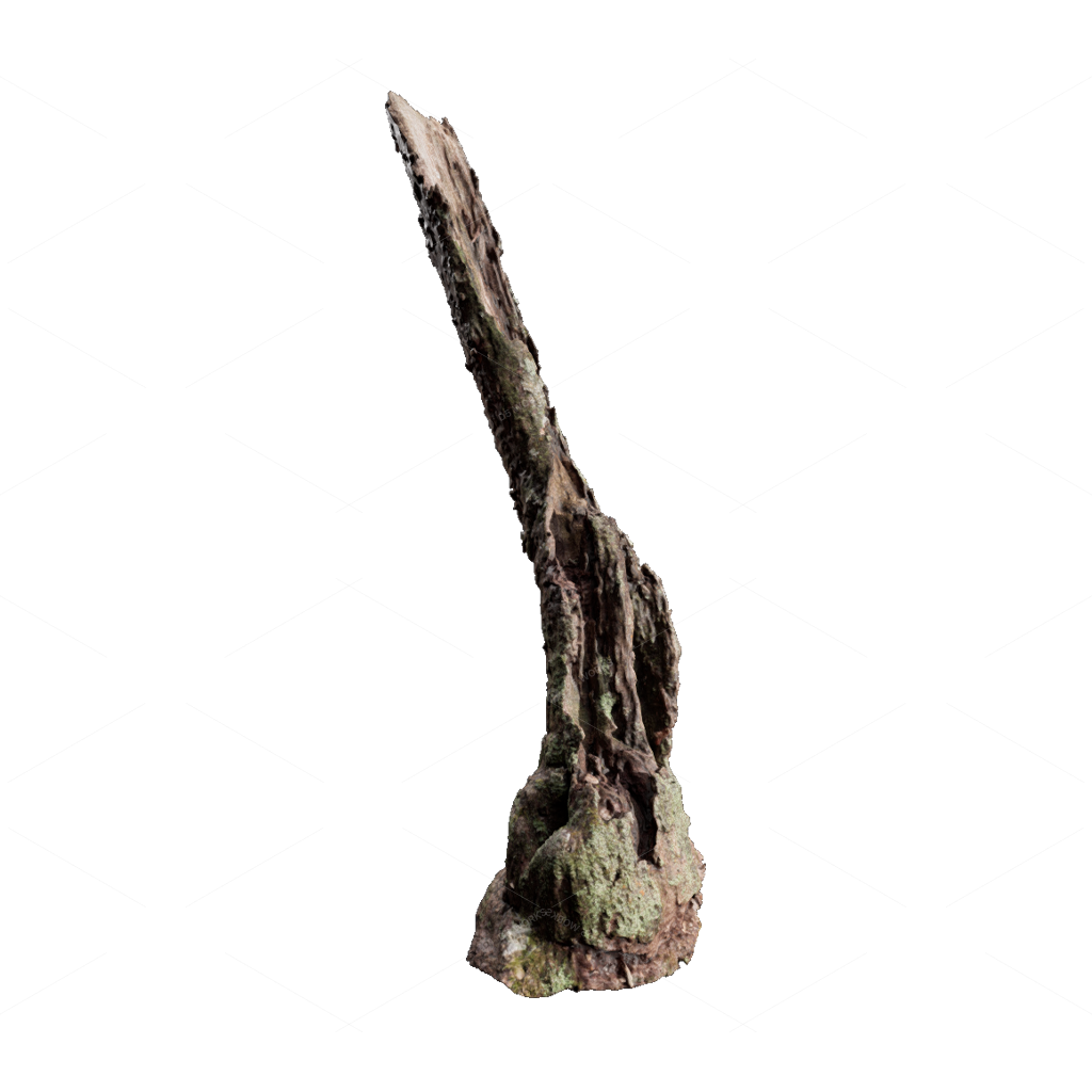 Other Botanicals 3D Models