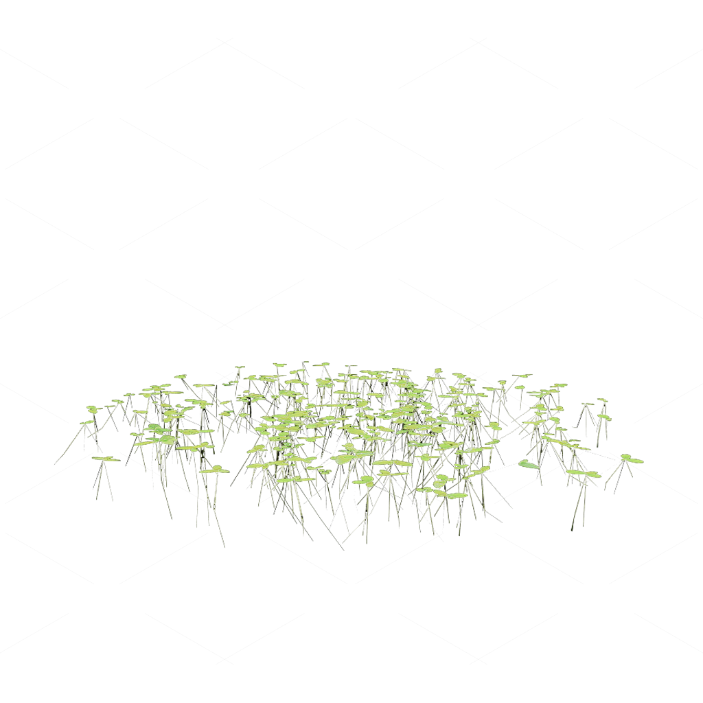 Aquatic Plants 3D Models