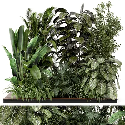 Lush Tropical Plant Arrangement 3d model