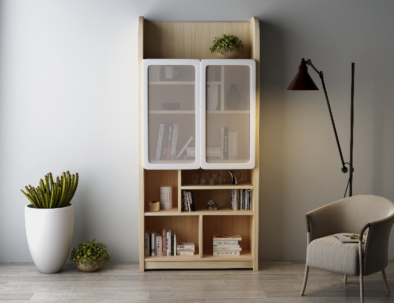 Modern Bookcase