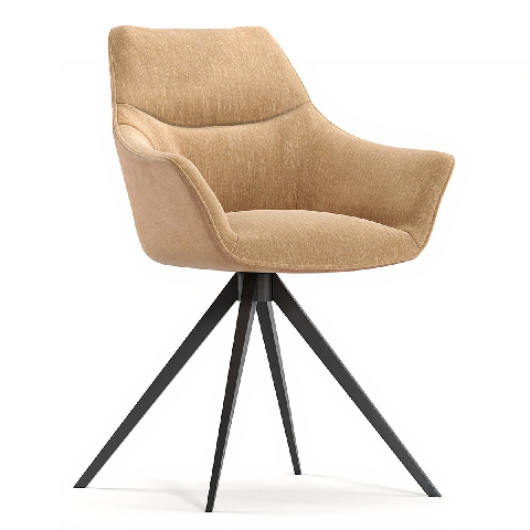 Modern Dining Chair