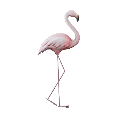 Other Ornaments Northern Flamingo