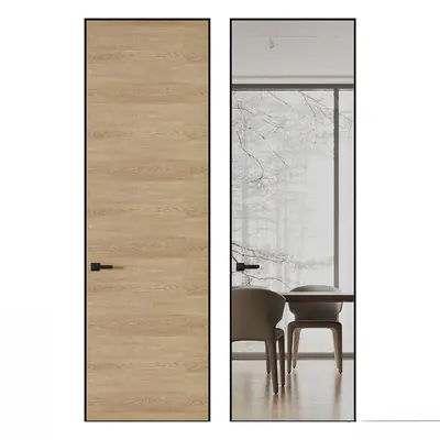 Modern Hidden Door