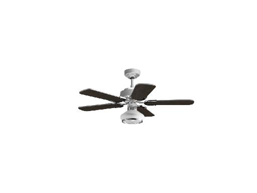 Modern Electric Fan 