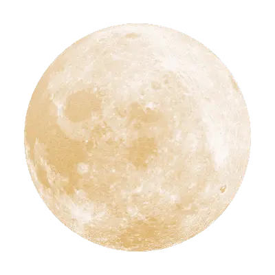 Moon Light 3d model