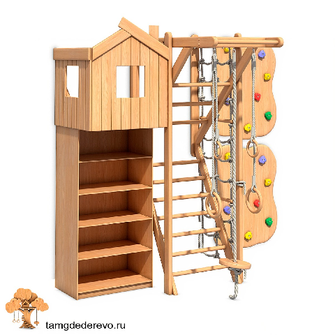 Modern Home Gym