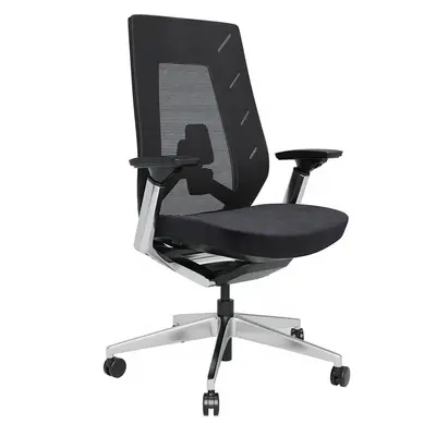 Ergonomic Mesh Office Chair 3d model