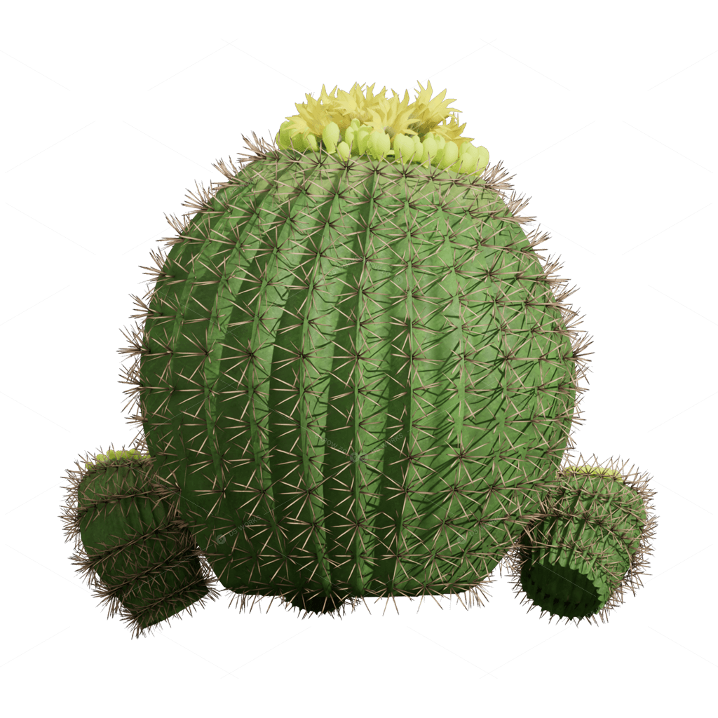 Xerophyte Plants 3D Models