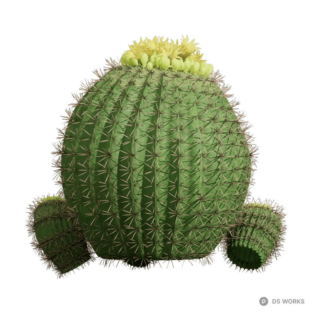 Echinopsis tubiflora 03 3d model - Image 1