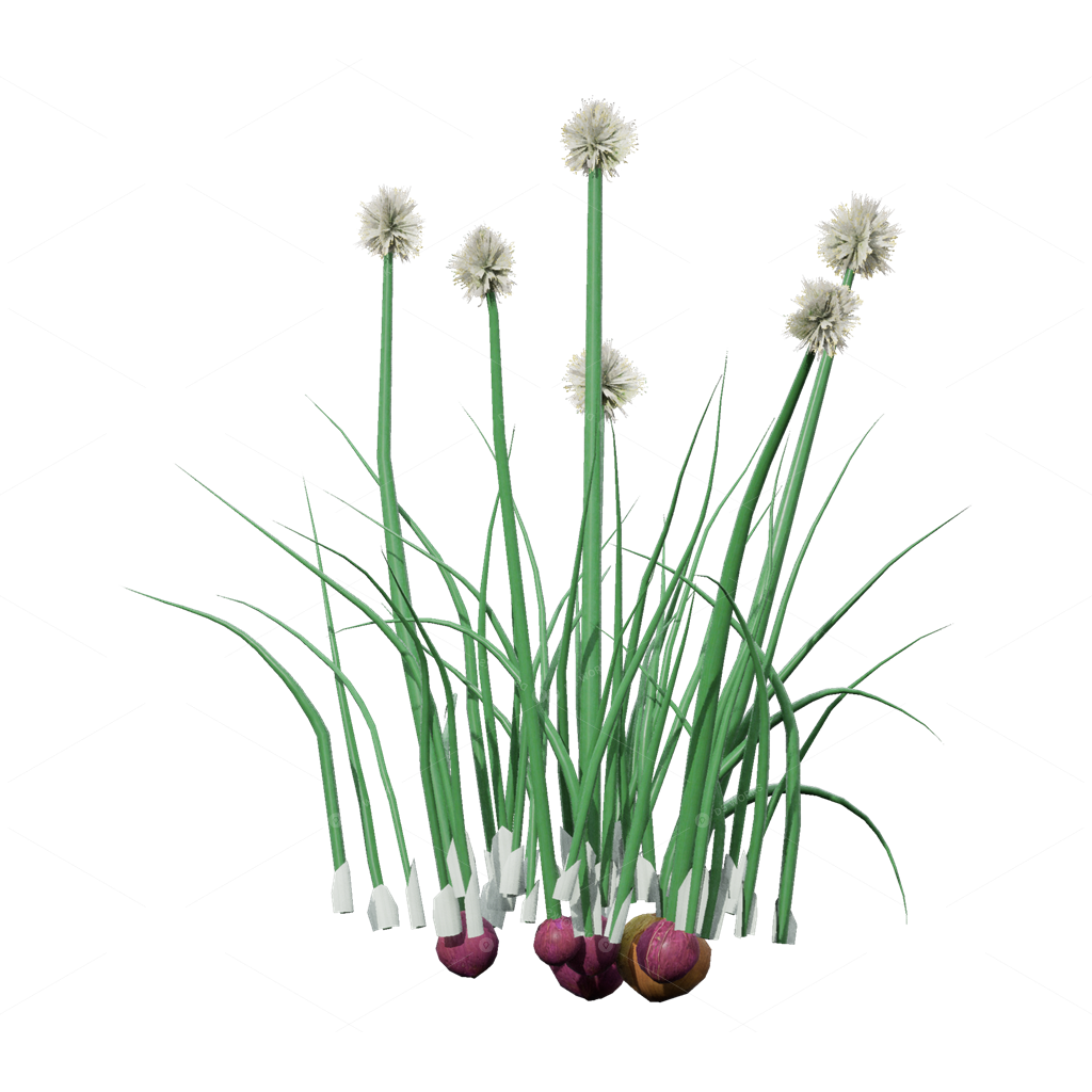 Crops 3D Models