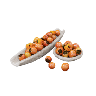 Food and Drink fruit persimmon combination(SSS)