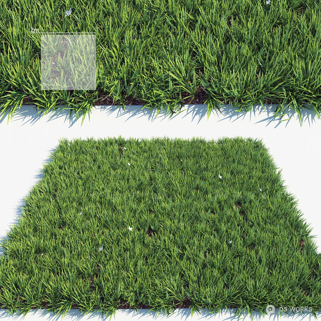 Lush Green Turf Patch With Border 3d model - Image 1