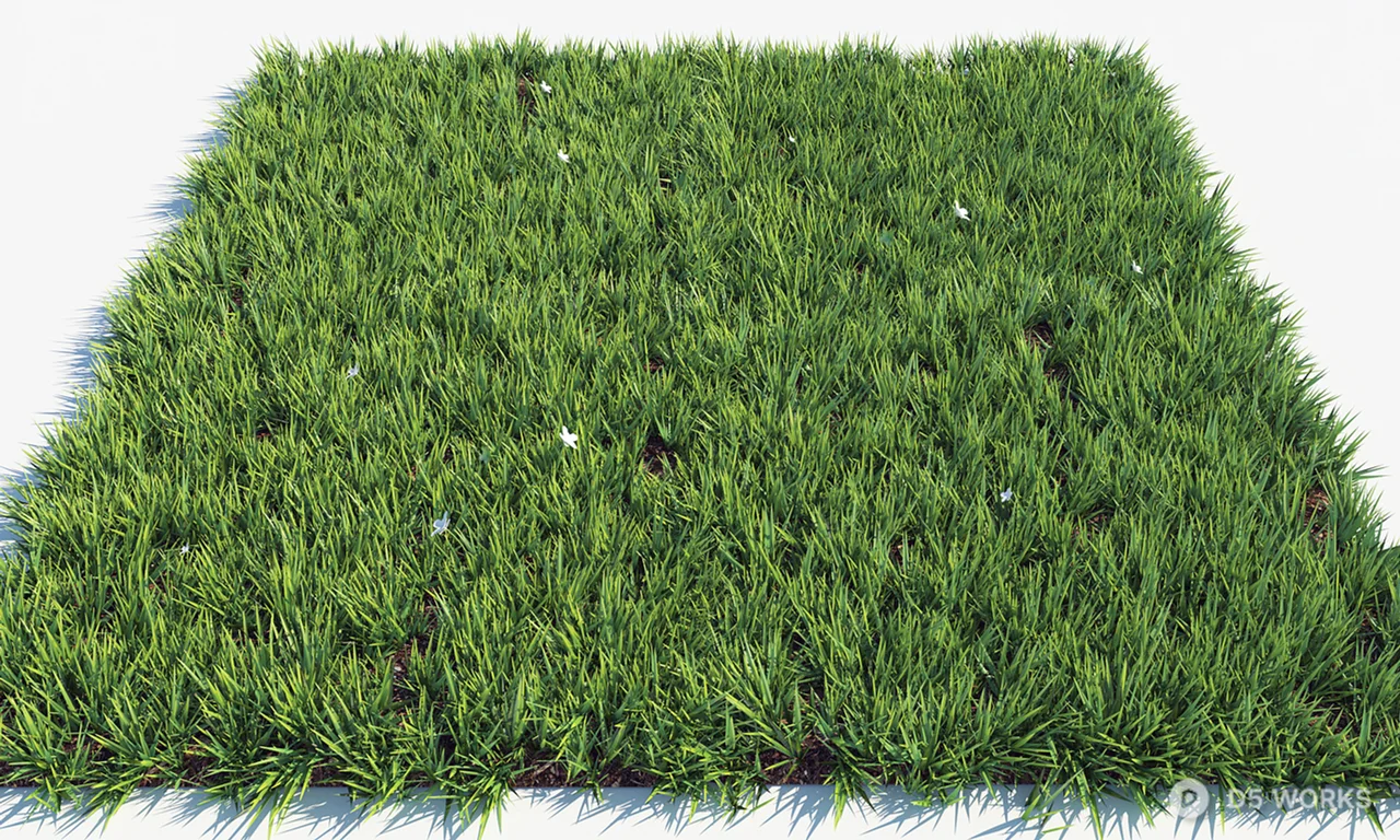 Lush Green Turf Patch With Border 3d model thumbnail 2