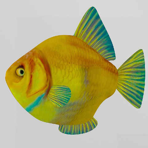 Modern Aquatic Animal