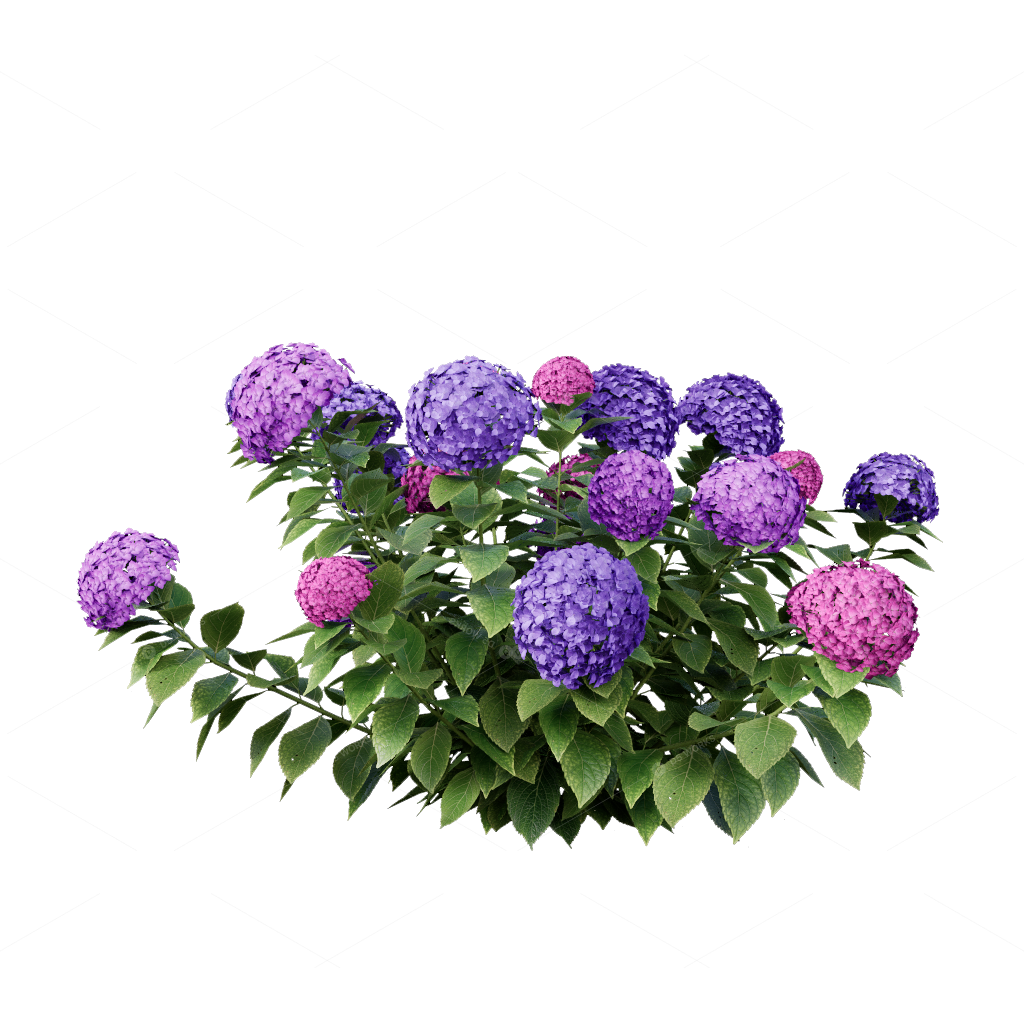 Shrubs 3D Models