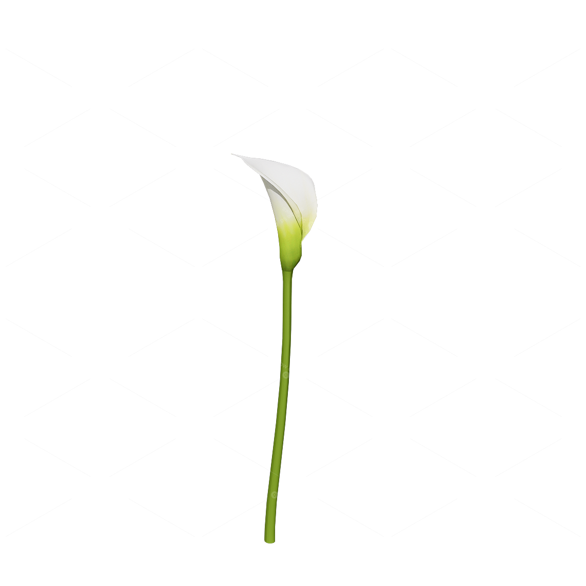 Flowers 3D Models