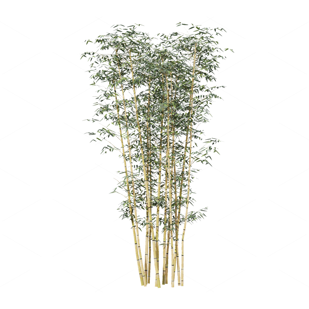 Other Botanicals 3D Models