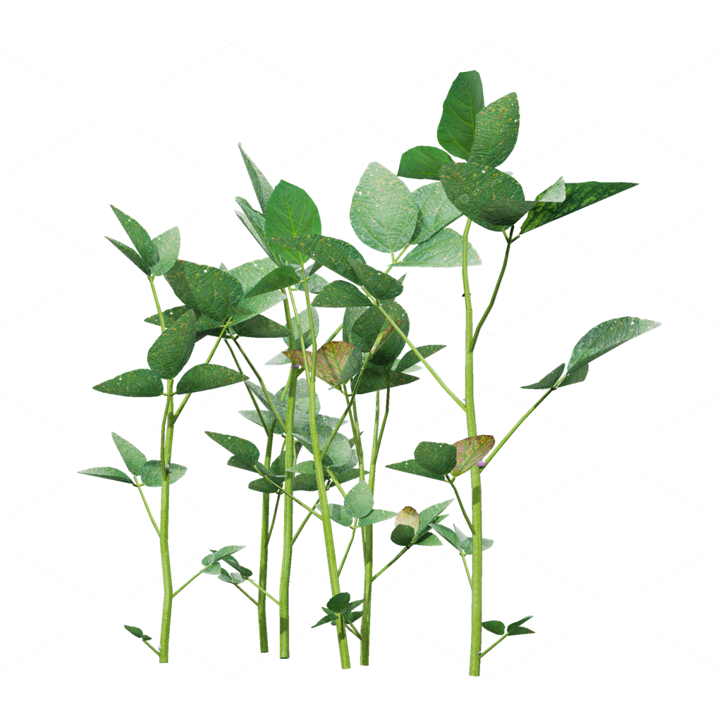 Crops 3D Models