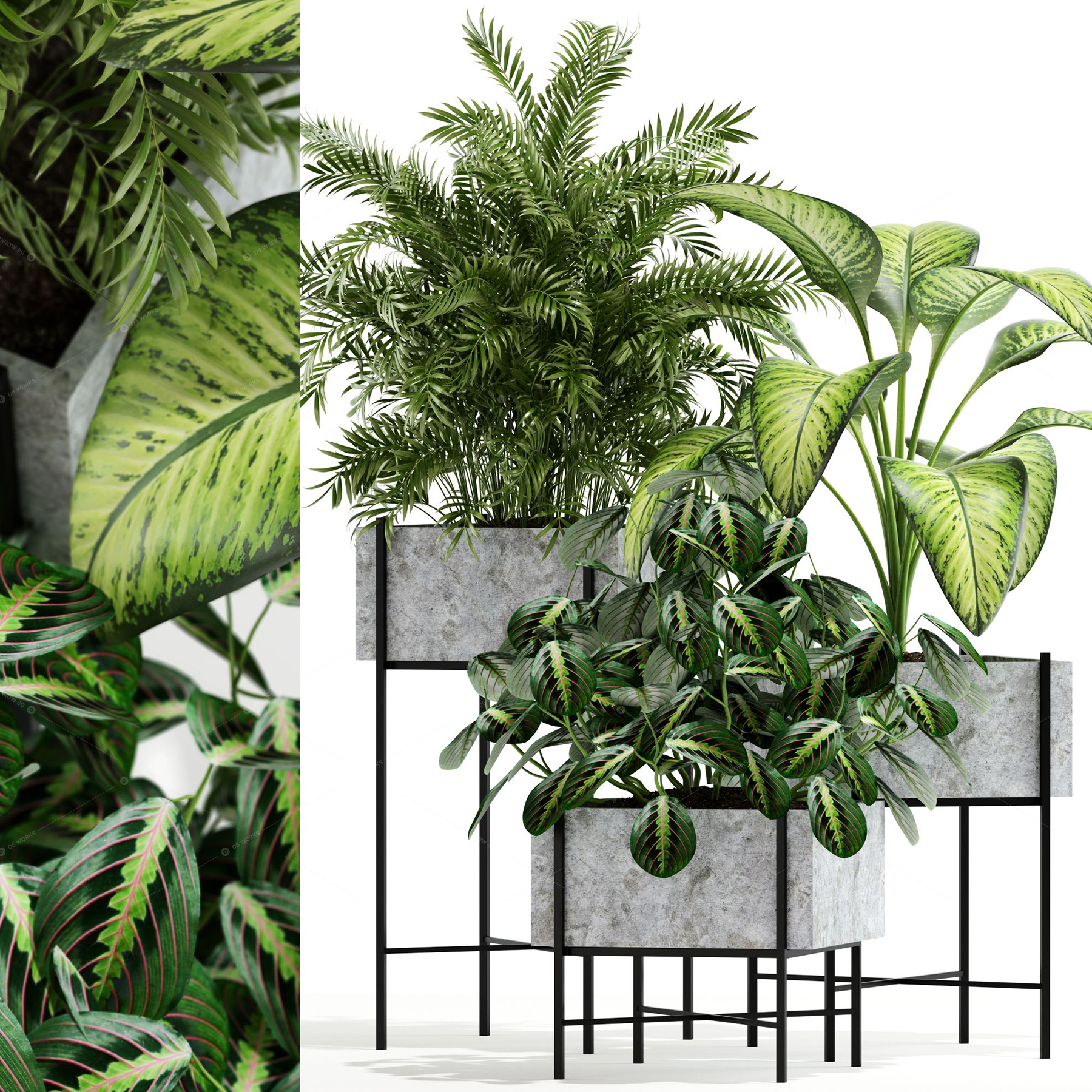 Greenery 3D Models