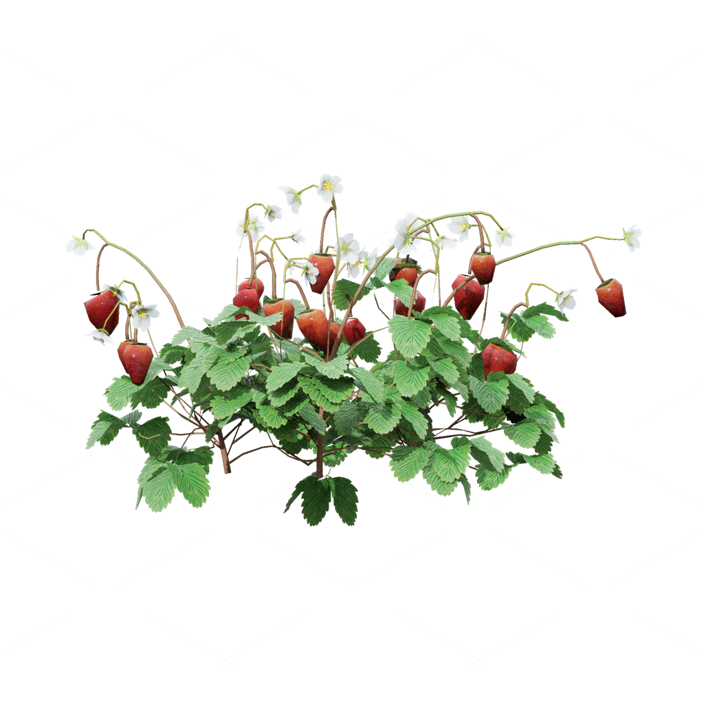 Crops 3D Models