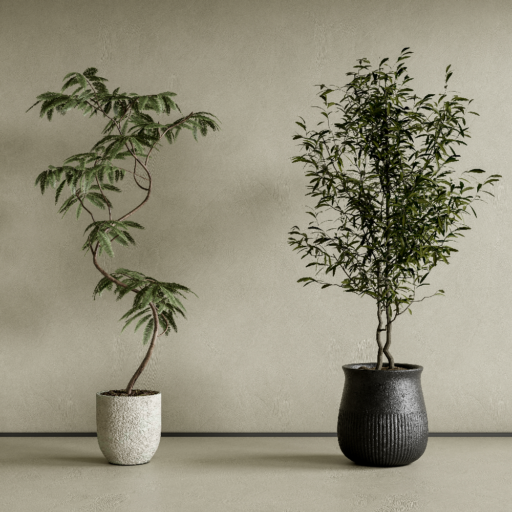 Modern Potted Plant