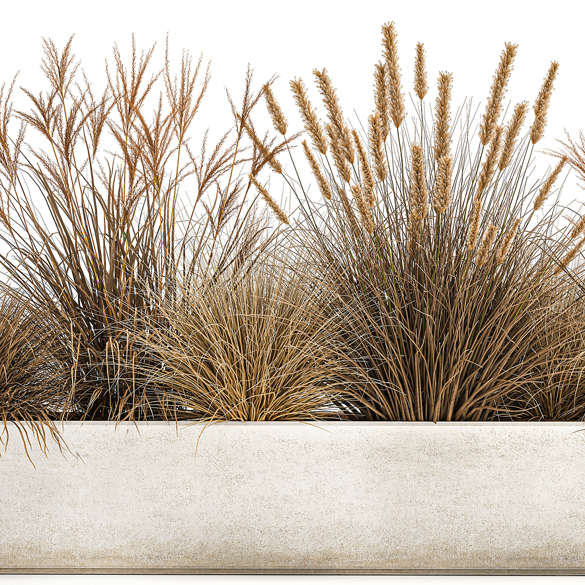 Greenery 3D Models 4