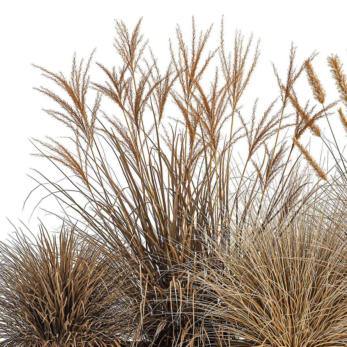 Greenery 3D Models 3