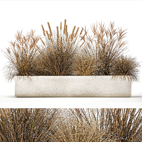 Wabi-Sabi Potted Plant